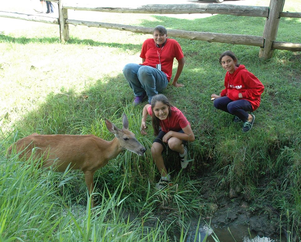 summer camp for international students